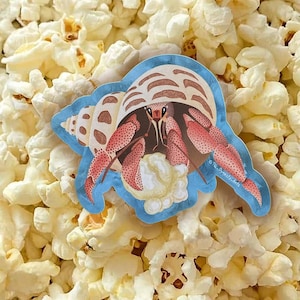 Popcorn Crabby Hermit Crab Sticker - Cute 3.5&quot; x 2.5&quot; Waterproof Vinyl Sticker | Decal | Original Art | Crustacean Animal Lover |