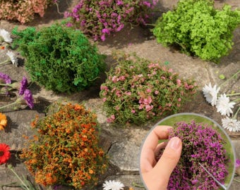 ミニチュアつる植物と花の植物 | ドールハウスのつる植物 | ドールハウスの植物 | ミニチュア人工つる植物 | ジオラマ用の小さな茂みと低木