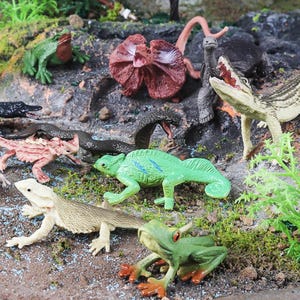 May include: A selection of plastic reptile and amphibian figurines in various colours, including a green chameleon, a red-frilled lizard, and a green frog with red feet. The figurines are on a textured, brown surface.