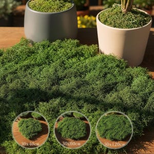 Zielony sztuczny mech do rękodzieła, zielona trawa z mchu DIY, sztuczna trawa z mchu, trawa z mchu do terrarium do miniaturowych ogrodów, wystrój krajobrazu domu