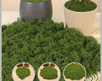 30/50/100g Green Artificial Moss Plant Fake Moss DIY Crafts Grass For Home Room Decor Garden Wedding Decoration Outdoor Ornament - 15