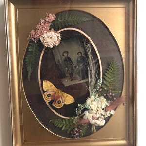 May include: A gold-framed oval artwork with a vintage photograph of two people. The artwork is decorated with dried flowers, ferns, and a yellow moth. The background is dark, creating a striking contrast.
