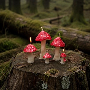 Juego de velas con forma de seta / Velas con forma de seta estilo cottagecore / Decoración de bosque otoñal / Vela de cera de abeja / Velas Amanita