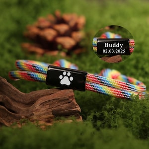May include: A colorful dog collar with a black clasp featuring a white paw print. The collar is made of woven rope in rainbow colors. A smaller, circular tag displays the name "Buddy" and the date "02.03.2025".