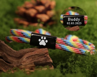 May include: A colorful dog collar with a black clasp featuring a white paw print. The collar is made of woven rope in rainbow colors. A smaller, circular tag displays the name "Buddy" and the date "02.03.2025".