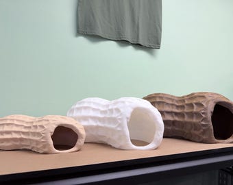 Esconderijo de réptil de amendoim