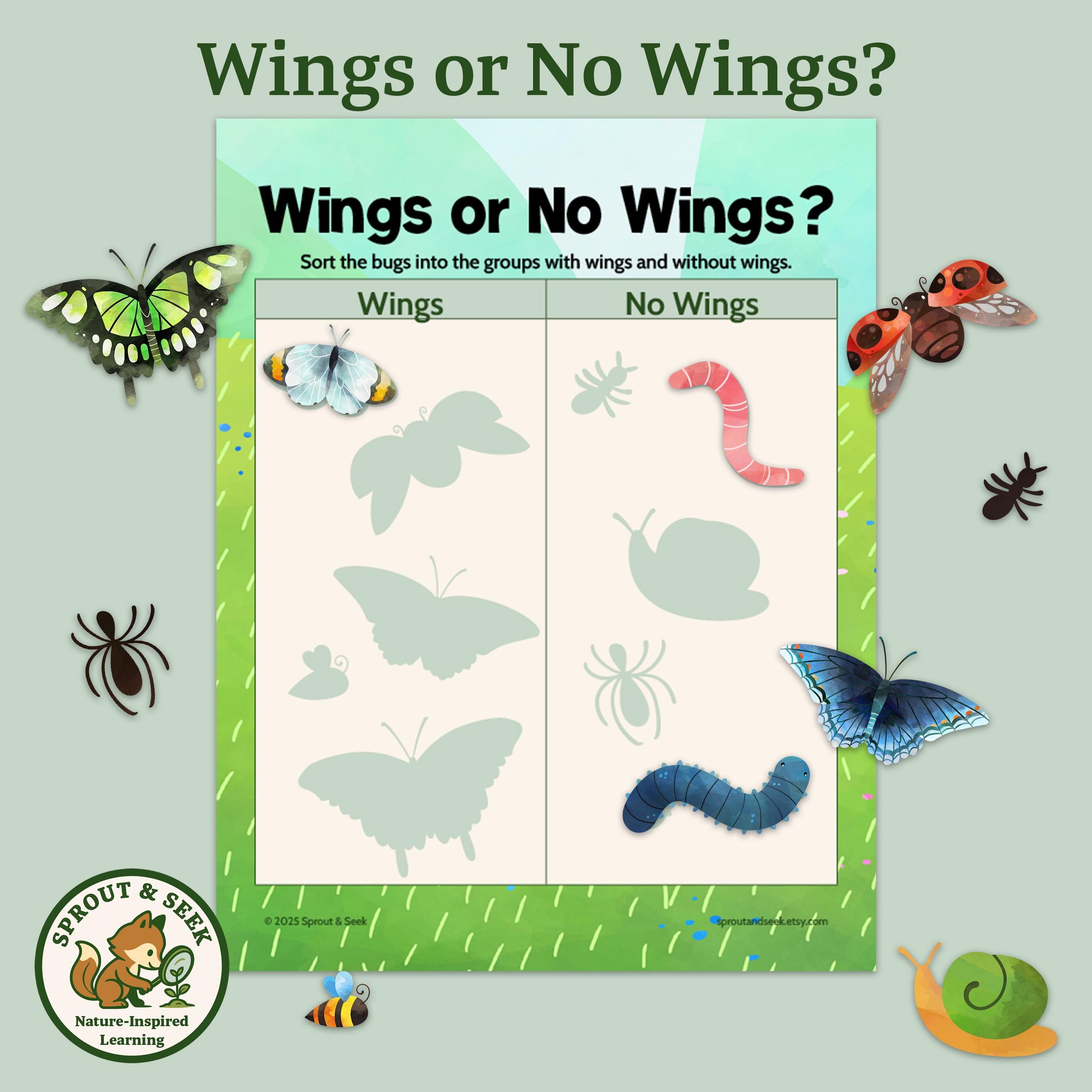 Bug Sorting Game Math Bug Sorting & Counting Game: Preschool Math Activity (PDF Printable) - Etsy
