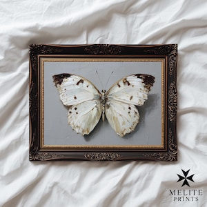 Antique White Butterfly Print, Neutral Insect Wall Art, Modern Cottagecore Decor, Gray Background Digital Painting Download