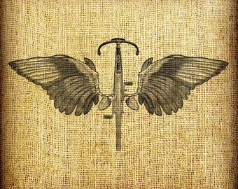 flying bicycle with wings