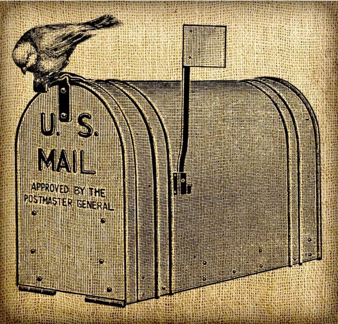 Bird on Old Mailbox US Mail Digital Artwork Image Transfer Etsy