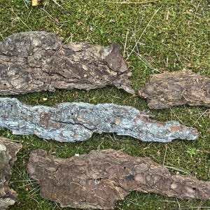 May include: Several pieces of tree bark with a rough, textured surface are arranged on a bed of green moss. The bark pieces vary in color from light gray to dark brown. A yellow and black measuring tape is at the bottom of the image.