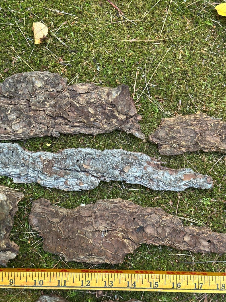 May include: Several pieces of tree bark with a rough, textured surface are arranged on a bed of green moss. The bark pieces vary in color from light gray to dark brown. A yellow and black measuring tape is at the bottom of the image.