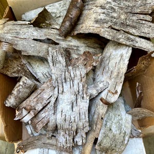 Puede incluir: Primer plano de trozos de corteza de abedul en una caja de cart&oacute;n. La corteza es principalmente blanca y gris con acentos marrones, mostrando un aspecto natural y texturizado. Las piezas var&iacute;an en tama&ntilde;o y forma.