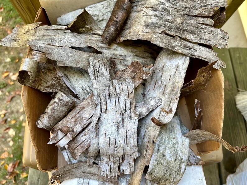 Puede incluir: Primer plano de trozos de corteza de abedul en una caja de cart&oacute;n. La corteza es principalmente blanca y gris con acentos marrones, mostrando un aspecto natural y texturizado. Las piezas var&iacute;an en tama&ntilde;o y forma.