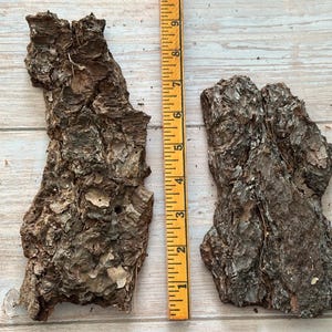 May include: Two pieces of rough, textured tree bark with a yellow ruler. The bark is brown and gray, with a rugged surface. The ruler shows measurements in inches, with the bark pieces measuring approximately 8 inches in length.