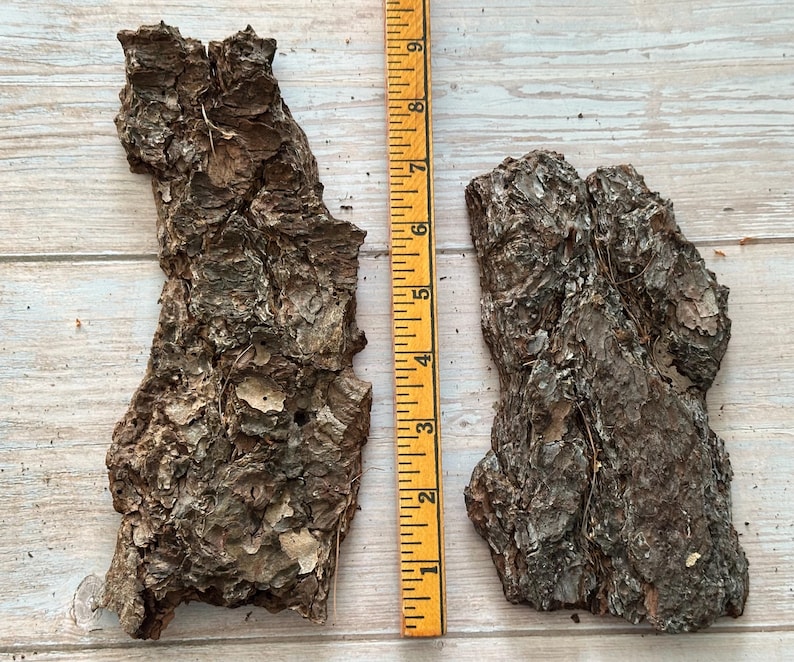 May include: Two pieces of rough, textured tree bark with a yellow ruler. The bark is brown and gray, with a rugged surface. The ruler shows measurements in inches, with the bark pieces measuring approximately 8 inches in length.