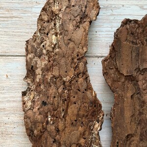 May include: Two pieces of rough, textured tree bark. The bark is a mix of brown and tan with many small holes and a rugged surface. The pieces are irregularly shaped and appear to be natural, possibly for crafting or decorative purposes.