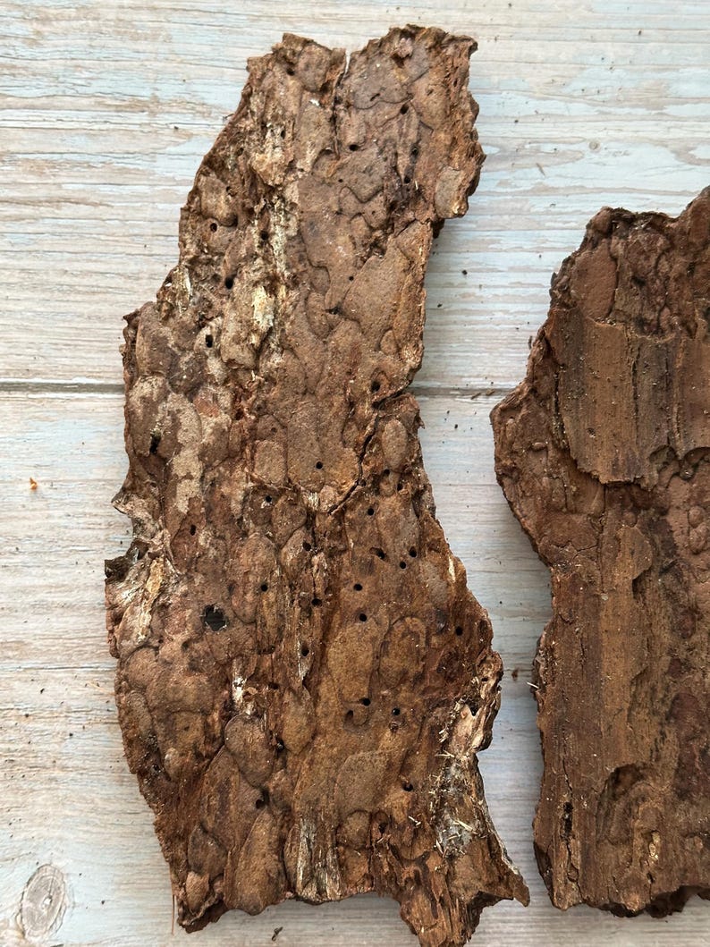 May include: Two pieces of rough, textured tree bark. The bark is a mix of brown and tan with many small holes and a rugged surface. The pieces are irregularly shaped and appear to be natural, possibly for crafting or decorative purposes.