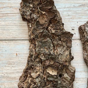 May include: Close-up of rough, textured pieces of tree bark. The bark is primarily brown with areas of lighter tan and darker brown. The surface has a rugged, uneven appearance with visible ridges and crevices. The bark appears to be naturally weathered.