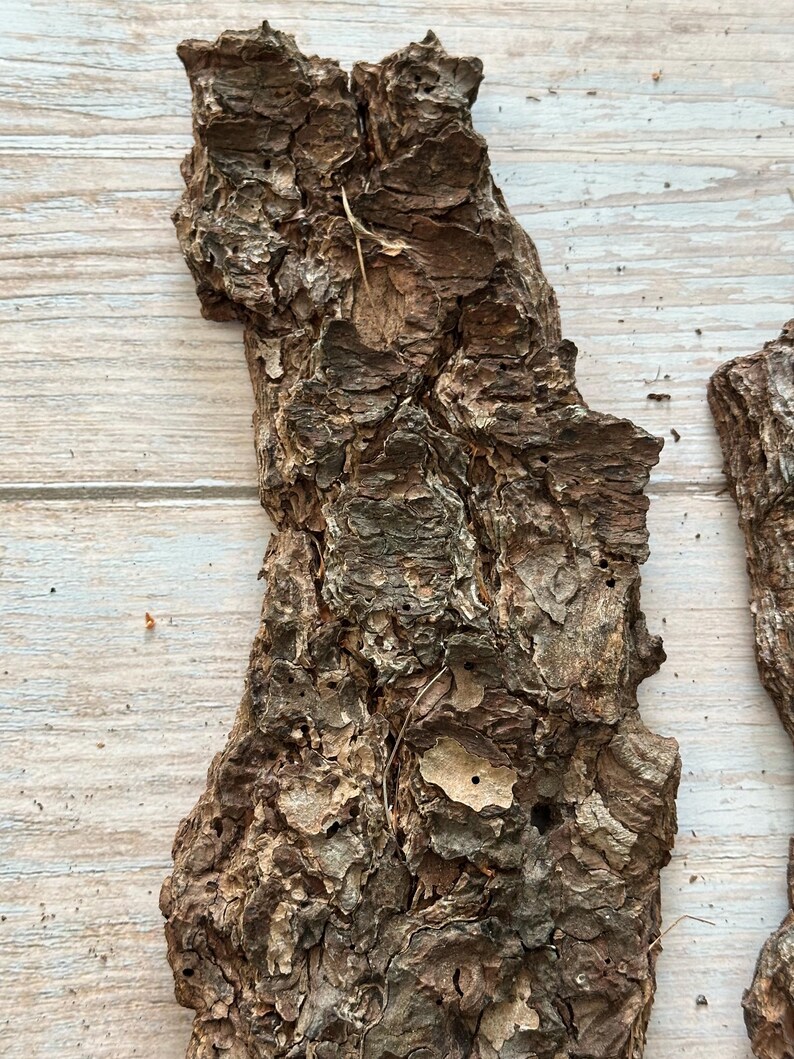 May include: Close-up of rough, textured pieces of tree bark. The bark is primarily brown with areas of lighter tan and darker brown. The surface has a rugged, uneven appearance with visible ridges and crevices. The bark appears to be naturally weathered.