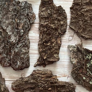 May include: A collection of irregularly shaped pieces of tree bark, varying in size and texture. The bark is primarily brown with lighter, textured areas and some pieces have hints of green. The pieces are arranged on a light-colored wooden surface.