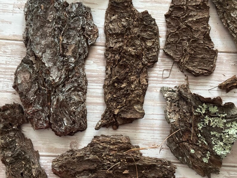 May include: A collection of irregularly shaped pieces of tree bark, varying in size and texture. The bark is primarily brown with lighter, textured areas and some pieces have hints of green. The pieces are arranged on a light-colored wooden surface.