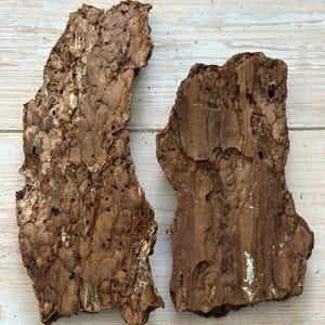 May include: Two pieces of rough, textured tree bark. The bark is primarily brown with lighter and darker areas, and some small holes. The pieces are irregularly shaped and appear to be natural, possibly for crafting or decorative use.