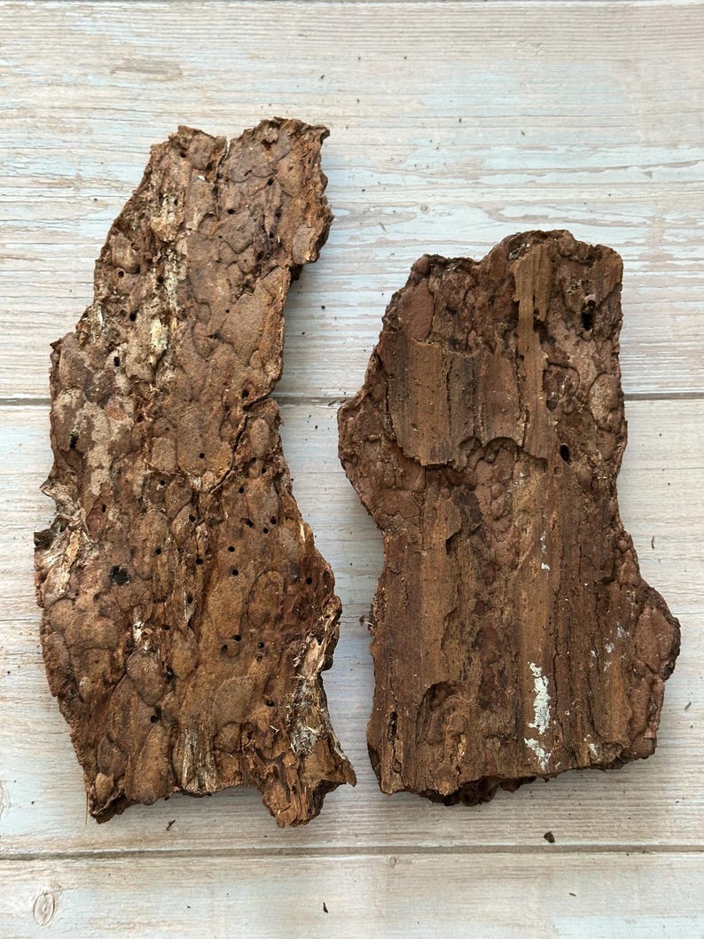 May include: Two pieces of rough, textured tree bark. The bark is primarily brown with lighter and darker areas, and some small holes. The pieces are irregularly shaped and appear to be natural, possibly for crafting or decorative use.