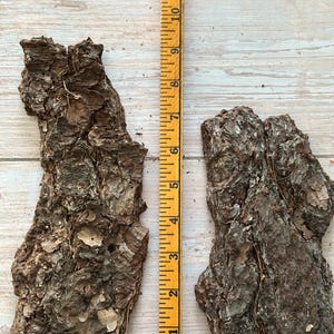 May include: Two pieces of rough, textured tree bark with a ruler for scale. The bark is brown with a rugged surface. The ruler is yellow with black markings, showing measurements in inches.