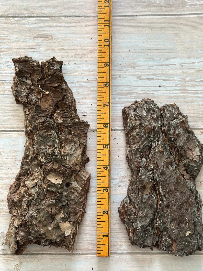 May include: Two pieces of rough, textured tree bark with a ruler for scale. The bark is brown with a rugged surface. The ruler is yellow with black markings, showing measurements in inches.