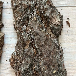 May include: Close-up of several pieces of rough, textured tree bark. The bark is primarily brown with lighter, gray patches and visible ridges. Some small pieces of dried plant matter are present.