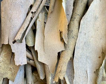 Sycamore Bark Pieces: Natural Terrarium & Craft Supply, Rustic Decor (50 Pieces)