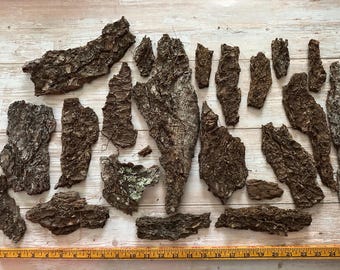 22 Natural Pine Tree Bark Pieces: Untreated Craft Decor Supplies