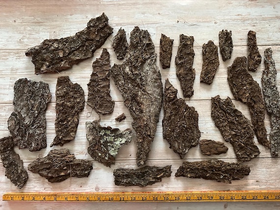 22 Natural Pine Tree Bark Pieces: Untreated Craft Decor Supplies