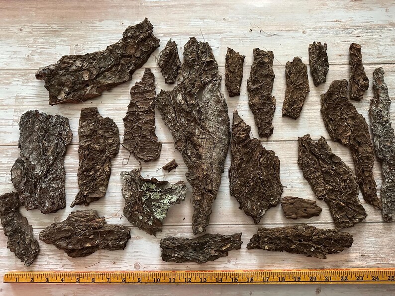 May include: A collection of irregularly shaped pieces of tree bark in varying sizes and shades of brown. The bark has a rough, textured surface. A yellow ruler with black markings is at the bottom of the image.