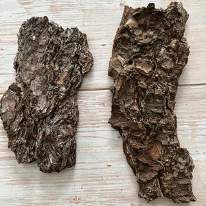 May include: Two pieces of rough, textured tree bark in shades of brown and tan. The bark has a natural, organic appearance with visible ridges and imperfections. The pieces are irregularly shaped and appear to be from a mature tree.