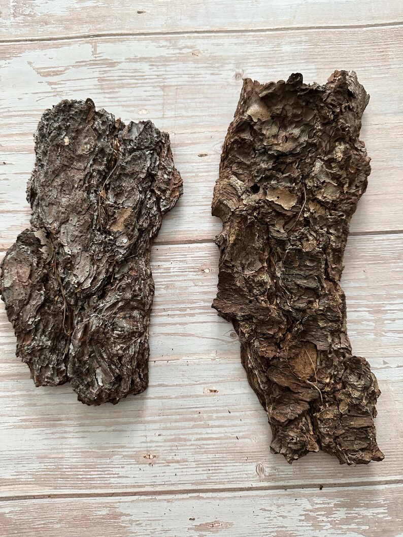 May include: Two pieces of rough, textured tree bark in shades of brown and tan. The bark has a natural, organic appearance with visible ridges and imperfections. The pieces are irregularly shaped and appear to be from a mature tree.