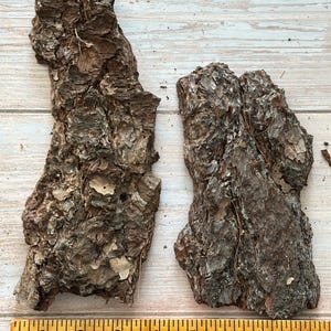 May include: Two pieces of rough, textured tree bark in shades of brown and gray, lying on a light wood surface. A yellow ruler with black markings is placed below the bark, showing measurements in inches.