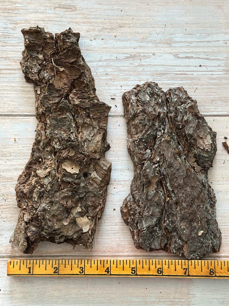 May include: Two pieces of rough, textured tree bark in shades of brown and gray, lying on a light wood surface. A yellow ruler with black markings is placed below the bark, showing measurements in inches.
