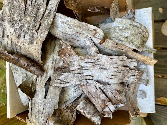 Rustic Birch Bark Pieces: Natural Wood Sheets for DIY Crafts, 16 Pcs