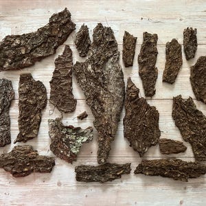 May include: A collection of irregularly shaped pieces of tree bark, in varying sizes and textures, arranged on a light wood surface. The bark pieces are primarily brown with some areas of lighter color and visible texture.