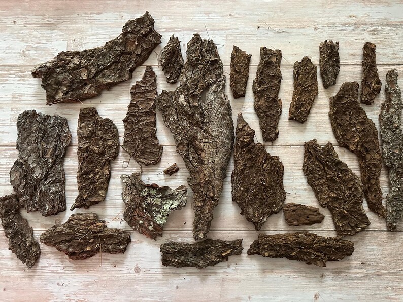 May include: A collection of irregularly shaped pieces of tree bark, in varying sizes and textures, arranged on a light wood surface. The bark pieces are primarily brown with some areas of lighter color and visible texture.