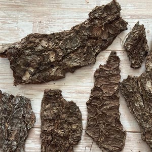 May include: A collection of irregularly shaped pieces of tree bark. The bark is a mix of brown and tan, with a rough, textured surface. The pieces vary in size and shape, with some appearing long and narrow, and others more rounded.