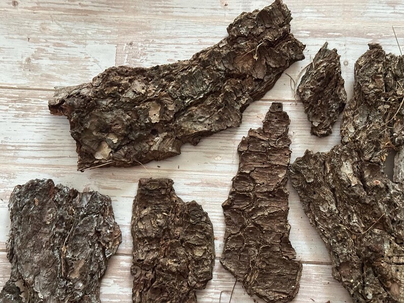 May include: A collection of irregularly shaped pieces of tree bark. The bark is a mix of brown and tan, with a rough, textured surface. The pieces vary in size and shape, with some appearing long and narrow, and others more rounded.