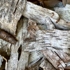 Puede incluir: Primer plano de trozos de corteza de abedul en tonos grises, marrones y blancos. La corteza tiene una superficie texturizada con l&iacute;neas horizontales e imperfecciones naturales. Las piezas est&aacute;n superpuestas, creando una est&eacute;tica natural y r&uacute;stica.