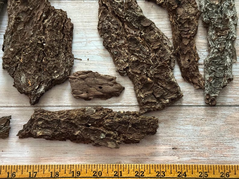 May include: Close-up of several pieces of rough, dark brown tree bark. The bark has a textured surface with varying shades of brown and gray. A wooden ruler with inch measurements is at the bottom.