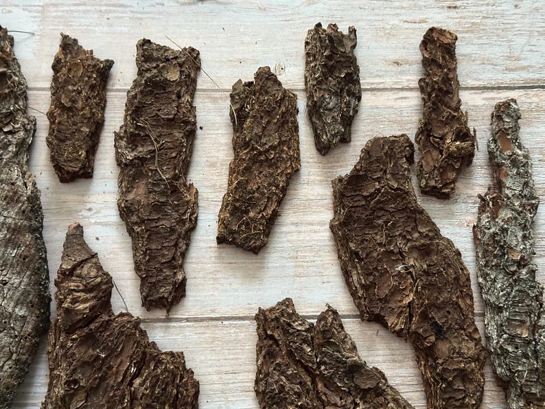 May include: A collection of irregularly shaped pieces of tree bark, varying in size and texture. The bark is primarily brown with lighter and darker shades, and some pieces have a rough, textured surface. The pieces are arranged on a light-colored wooden surface.