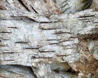 Rustic Birch Bark Pieces: Natural Wood Sheets for DIY Crafts, 16 Pcs