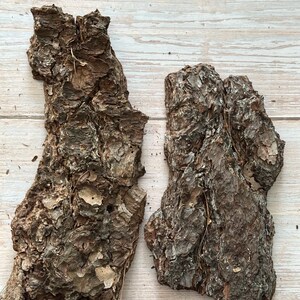 May include: Two pieces of rough, textured tree bark with a dark brown color. The bark has a natural, organic appearance with visible ridges and imperfections. The pieces are irregularly shaped and appear to be from a tree trunk.