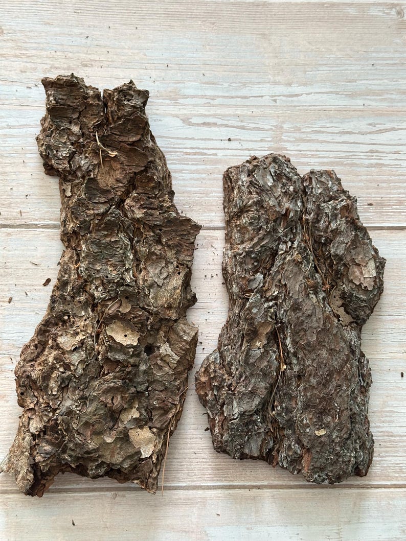 May include: Two pieces of rough, textured tree bark with a dark brown color. The bark has a natural, organic appearance with visible ridges and imperfections. The pieces are irregularly shaped and appear to be from a tree trunk.
